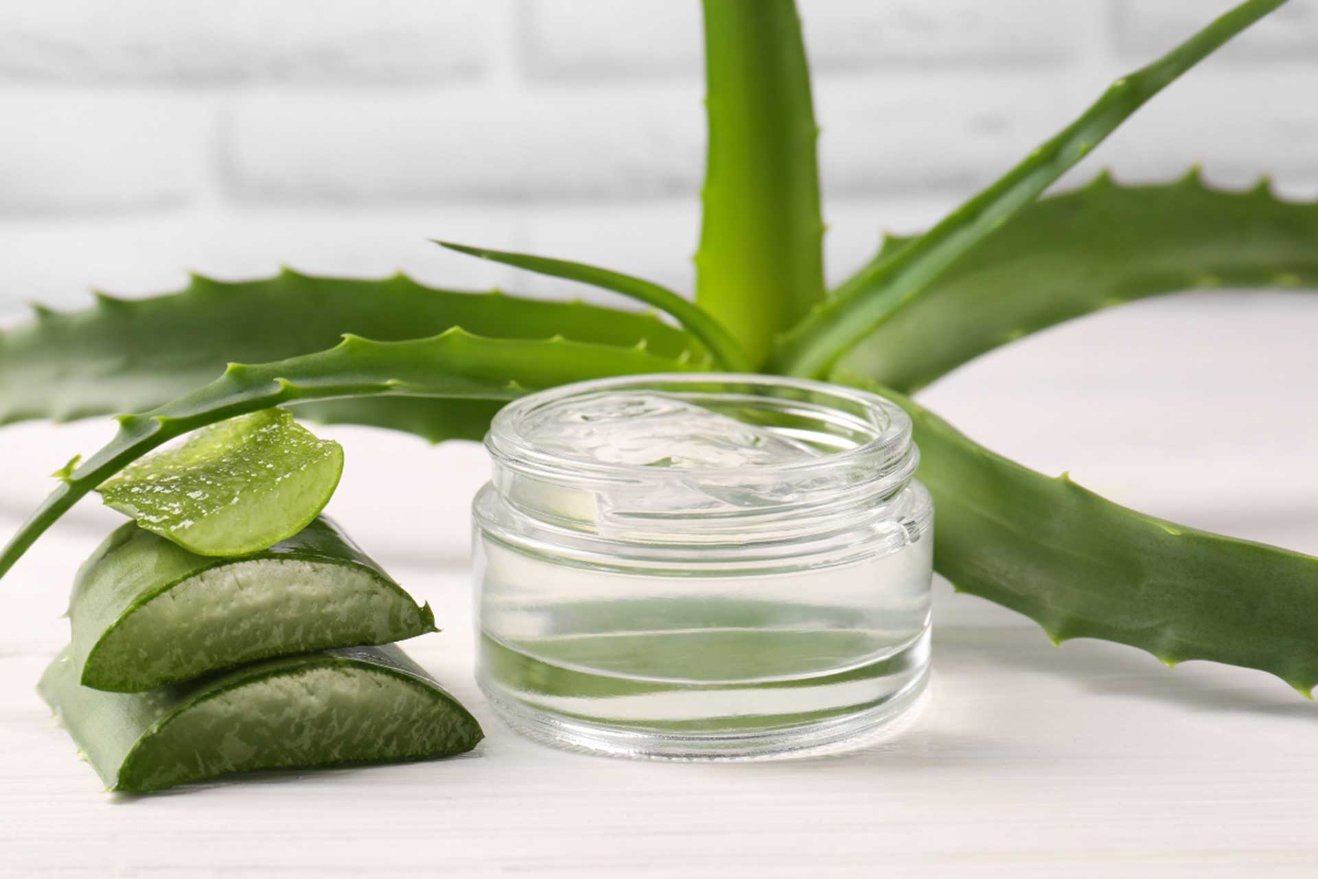Aloe Vera: un dono della natura per la tua bellezza quotidiana